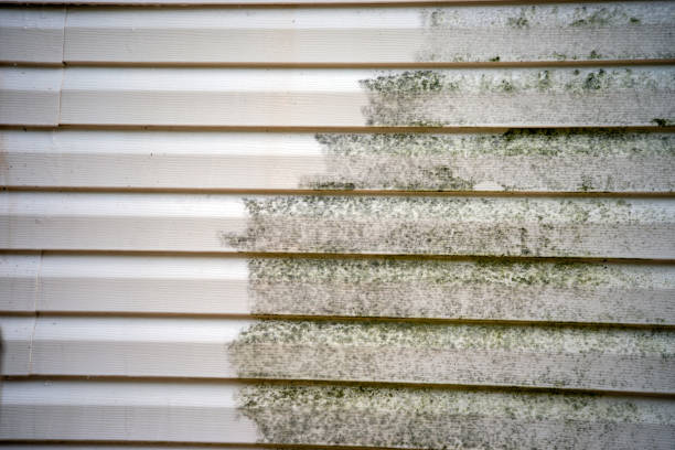 Best Moving and Downsizing Cleanouts  in Hampton Beach, NH